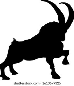 Silhouette of a ram for Capricorn symbol which is the tenth sign of the zodiac horoscope. Vector illustration. 