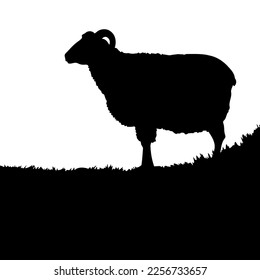 Silhouettenram, Gras. Vektorgrafik eps10.