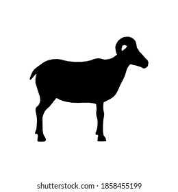 Silhouette ram on white background