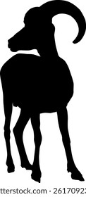 Silhouette of a Ram on white background