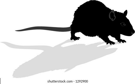 silhouette of rat