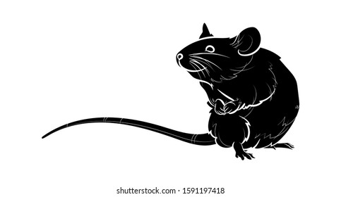 Silhouette of A rat. Graphic drawing. Vector illustration.