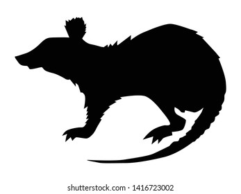 silhouette of rat, motive of wildlife