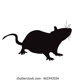 silhouette of rat, mouse