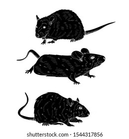  silhouette of a rat, mouse, set