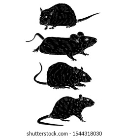  silhouette of a rat, mouse, set