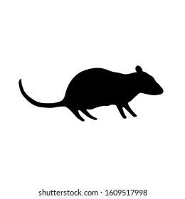 Silhouette of rat vector icon in flat style on white background