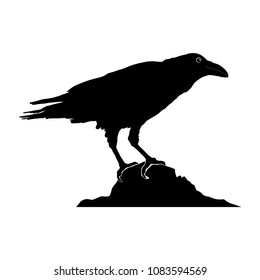 silhouette of a raven