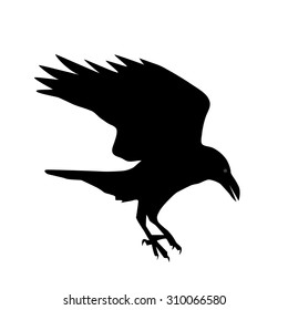 19,896 Raven silhouette Images, Stock Photos & Vectors | Shutterstock