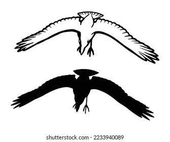 silhouette of Raven Flying . Black raven isolated on white background. Hand drawn crow.