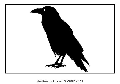 Silhouette of Raven flying on white background, Crow raven bird illustration