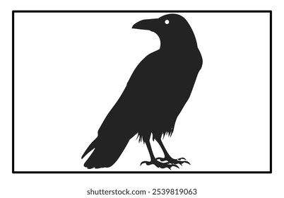 Silhouette of Raven flying on white background, Crow raven bird illustration