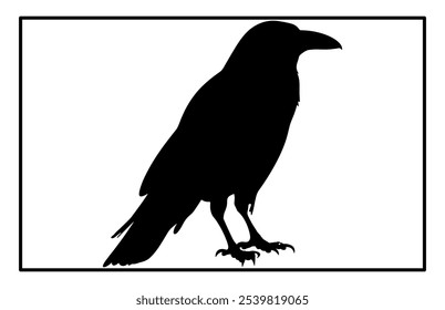 Silhouette of Raven flying on white background, Crow raven bird illustration