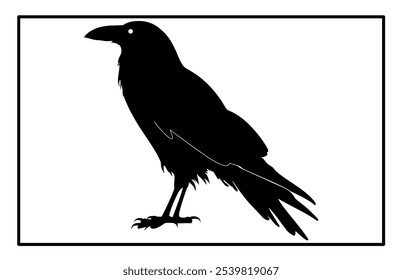 Silhouette of Raven flying on white background, Crow raven bird illustration