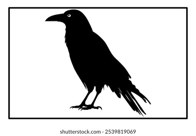 Silhouette of Raven flying on white background, Crow raven bird illustration