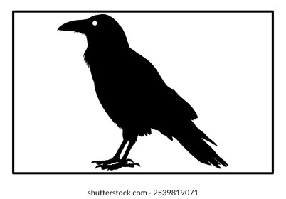 Silhouette of Raven flying on white background, Crow raven bird illustration