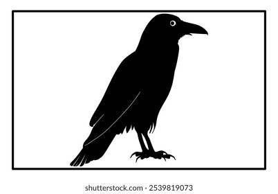 Silhouette of Raven flying on white background, Crow raven bird illustration