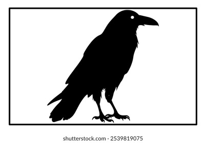 Silhouette of Raven flying on white background, Crow raven bird illustration