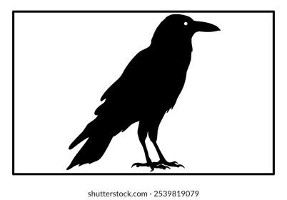 Silhouette of Raven flying on white background, Crow raven bird illustration