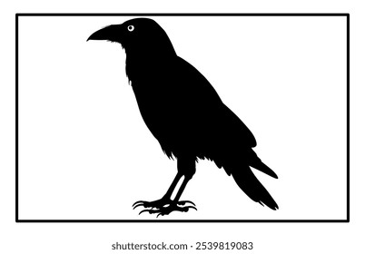 Silhouette of Raven flying on white background, Crow raven bird illustration