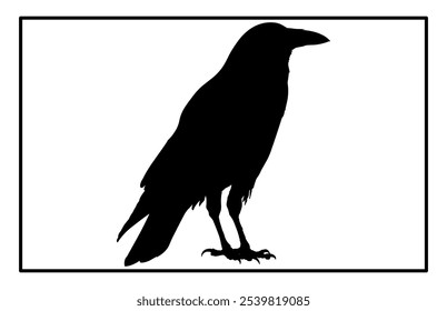 Silhouette of Raven flying on white background, Crow raven bird illustration