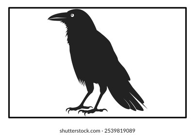 Silhouette of Raven flying on white background, Crow raven bird illustration