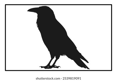 Silhouette of Raven flying on white background, Crow raven bird illustration