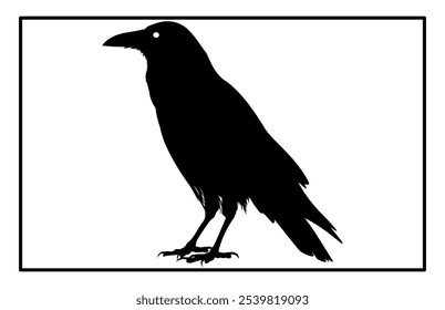 Silhouette of Raven flying on white background, Crow raven bird illustration