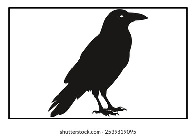 Silhouette of Raven flying on white background, Crow raven bird illustration