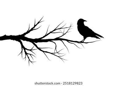 Silhueta de um Corvo no Raven Tree Branch. Animais, natureza e vetor conceito vida selvagem