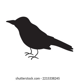 Silhouette. Raven. Ilustración dibujada a mano por vectores.