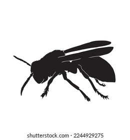 Silhouette of realistic bee honey in isolate on a white background. Vector illustration