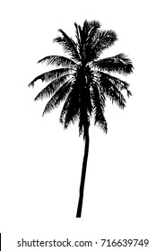 Realistic Palm Tree Silhouette Stock Vector (Royalty Free) 123355582