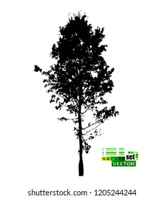 silhouette of realistic trees