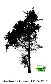 silhouette of realistic trees
