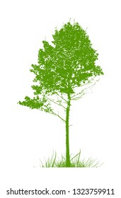 silhouette of realistic trees