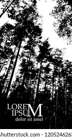 silhouette of realistic trees. Silhouette of trees in the forest