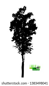 silhouette of realistic trees. Vector illustration
