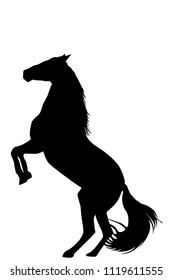 Silhouette of rearing up horse on white background