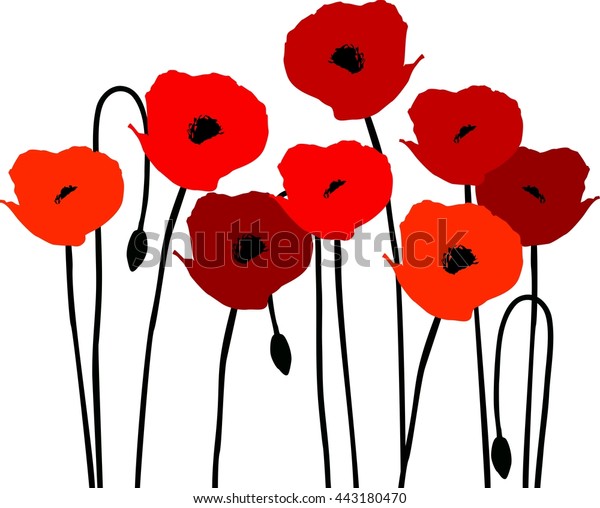 remembrance poppy vector remembrance poppy vector