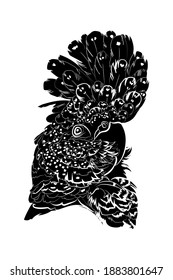 Silhouette of the red-tailed black cockatoo. Black and white illustration. Vector.