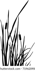 Silhouette of Reed Bush. Vector Illustration