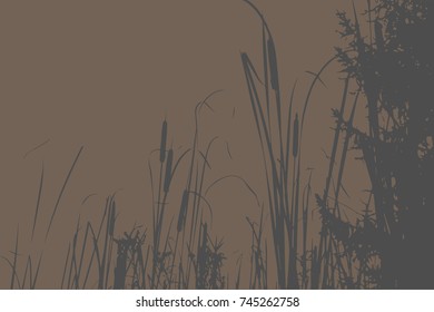 Silhouette of Reed Bush. Vector Illustration