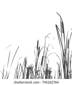 Silhouette of Reed Bush. Vector Illustration