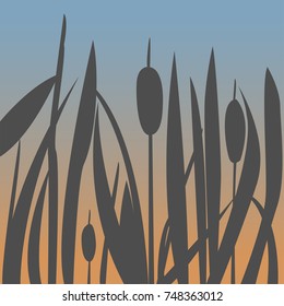 Silhouette of Reed Bush. Vector Illustration