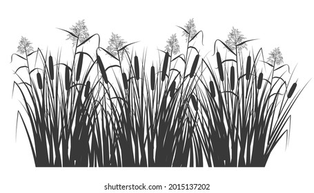 Silhouette of reed and cane in green grass. Swamp and river plants. Vector flat illustration.