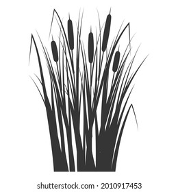 Silhouette of a reed in the green grass. Swamp and river plants. Cattail isolated on white background. Vector flat illustration.