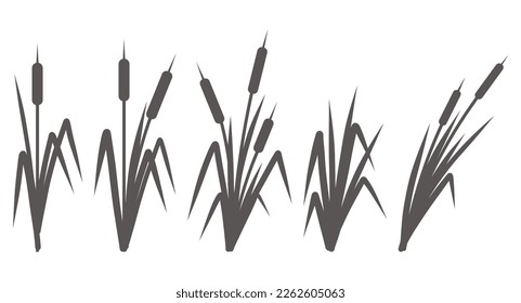 Silhouette of a reed in the green grass. Swamp and river plants. Cattail isolated on white background. Vector flat illustration.