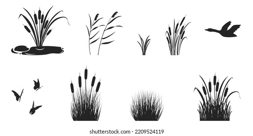 Silhouette of reeds with grass and thickets. Black shadow of marsh vegetation with butterflies and wild duck