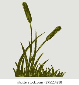 Silhouette Of Reeds. Marsh Grass. Vector Image